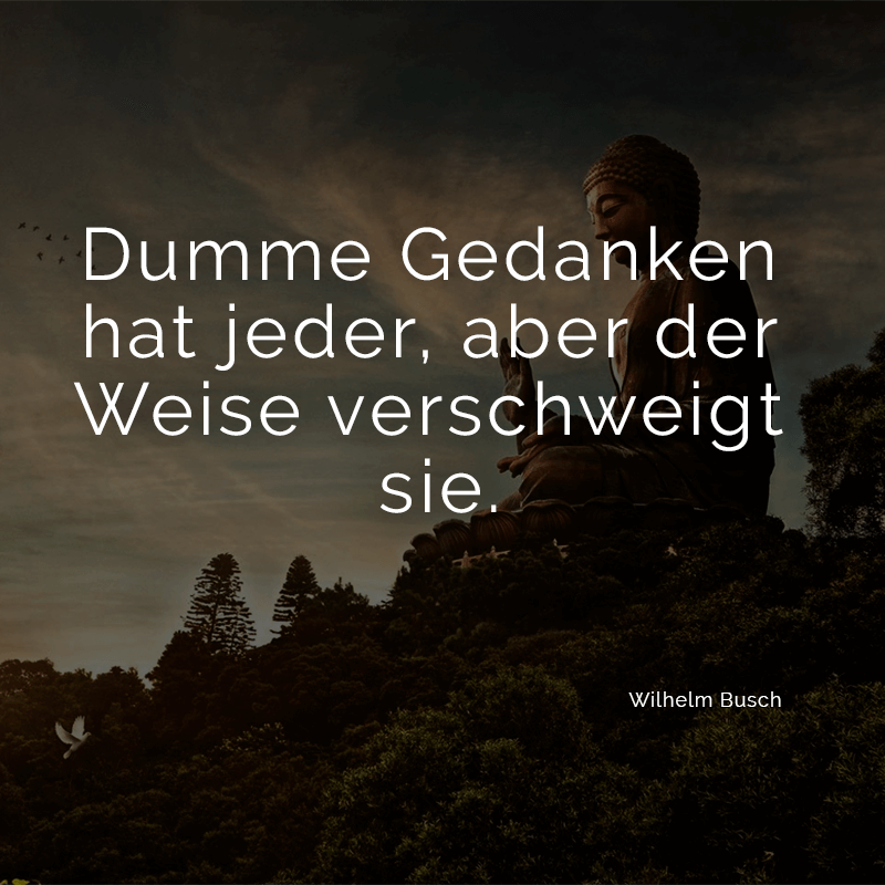 ᐅ Dumme Gedanken hat jeder, aber der Weise verschweigt sie. (Wilhelm Busch)