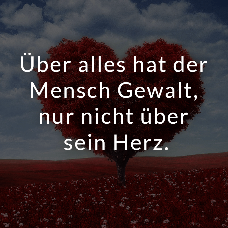 ᐅ Scheiß auf die erste große Liebe. Die letzte große Liebe, darauf