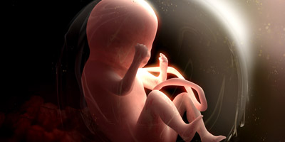 Wie viel weißt du über Schwangerschaft und Geburt?