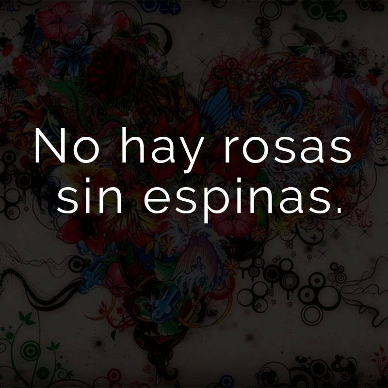 No hay rosas sin espinas. (Spanisch für: Keine Rose ohne Dornen.)
