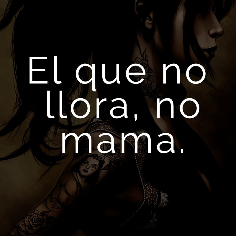 El que no llora, no mama. (Spanisch für: Von nichts kommt nichts.)
