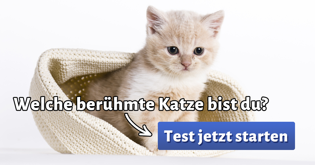Katzenmahjong Katzenmahjong