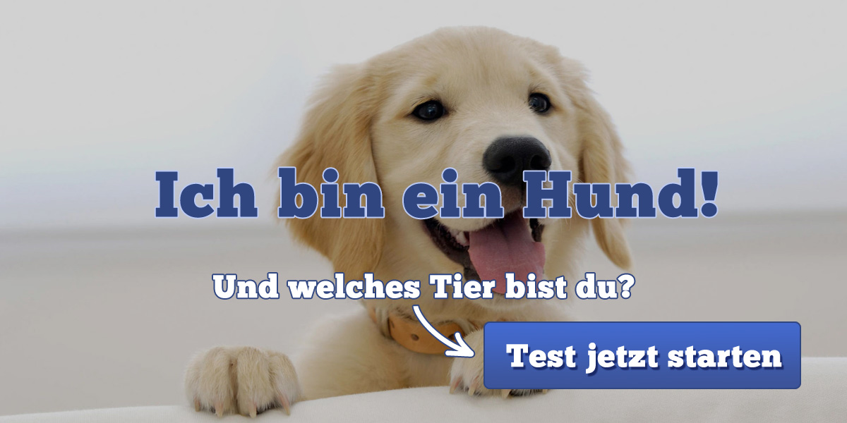 Welches Tier bin ich?