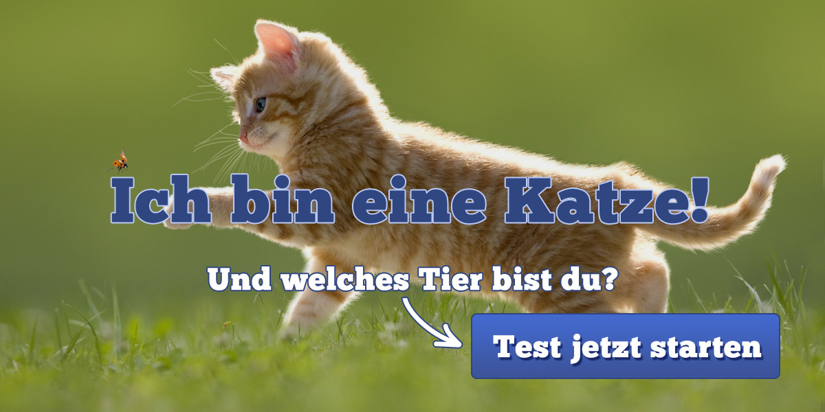 Welches Tier bin ich?