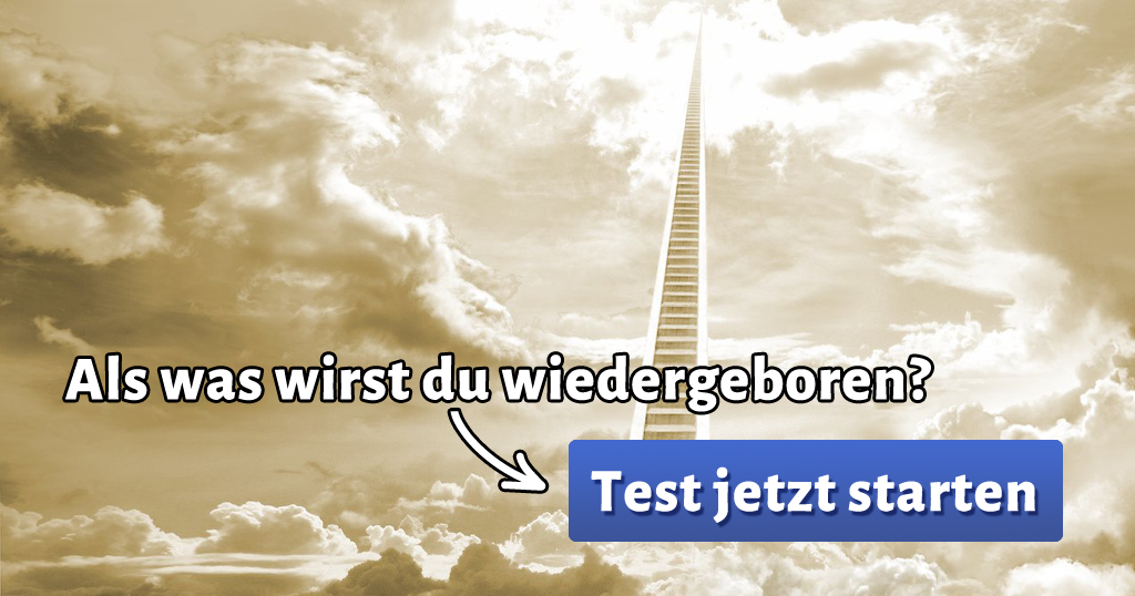 ᐅ Als was wirst du wiedergeboren?