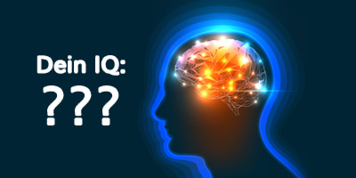 Der IQ Schnelltest