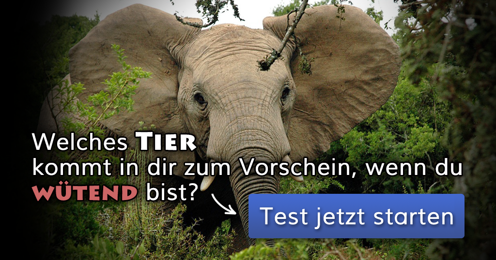 ᐅ Welches Tier kommt in dir zum Vorschein, wenn du wütend bist?