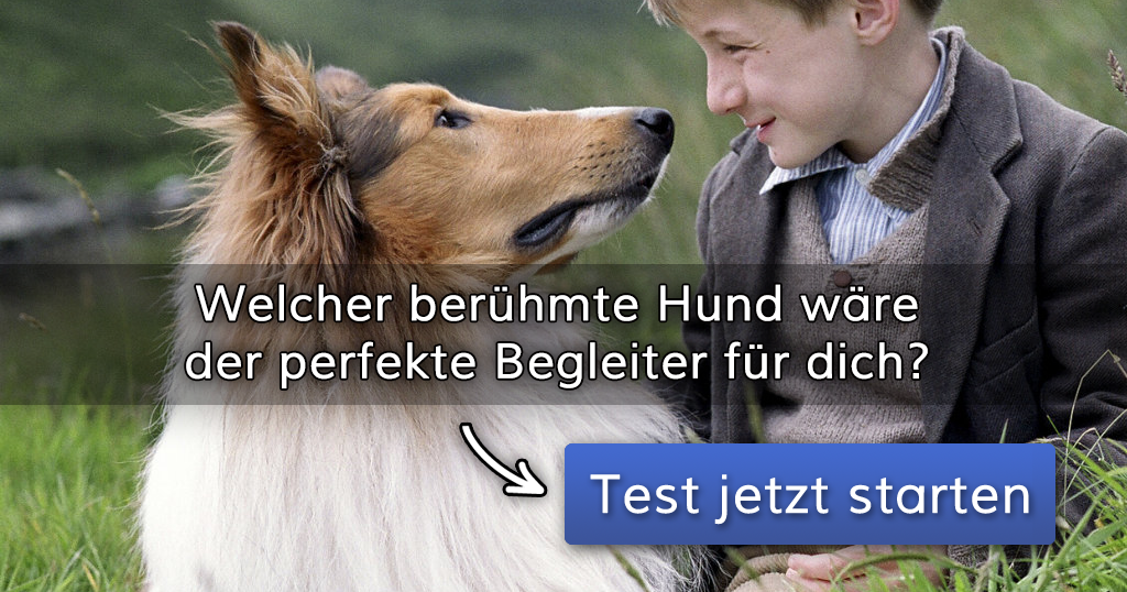 ᐅ Welcher berühmte Hund wäre der perfekte Begleiter für dich?