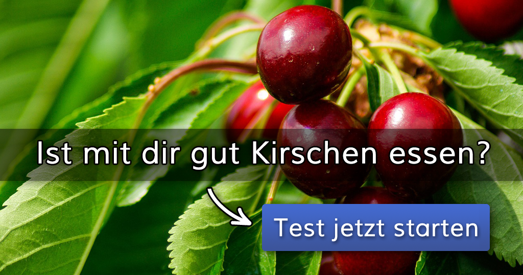 ᐅ Ist mit dir gut Kirschen essen?