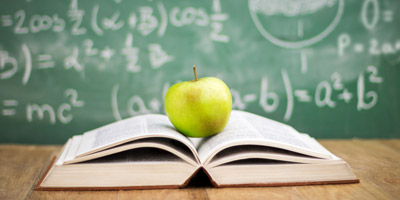 Wärst du ein guter Lehrer?