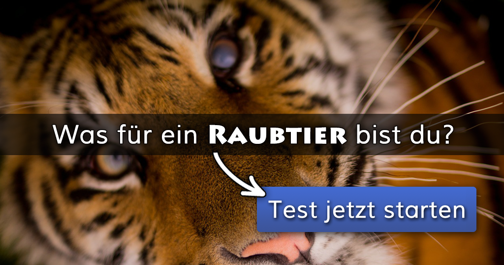 ᐅ Was für ein Raubtier bist du?