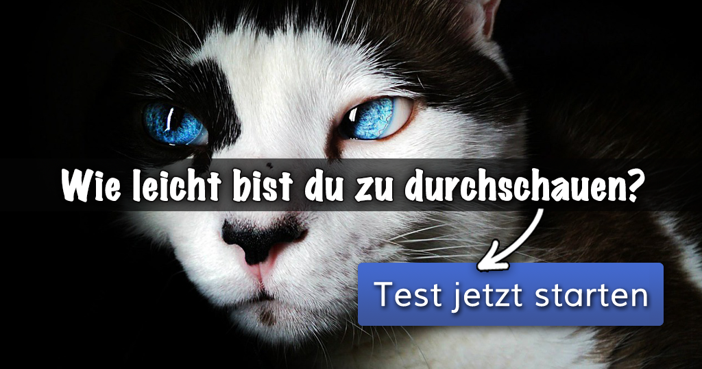 Wie leicht bist du zu durchschauen?