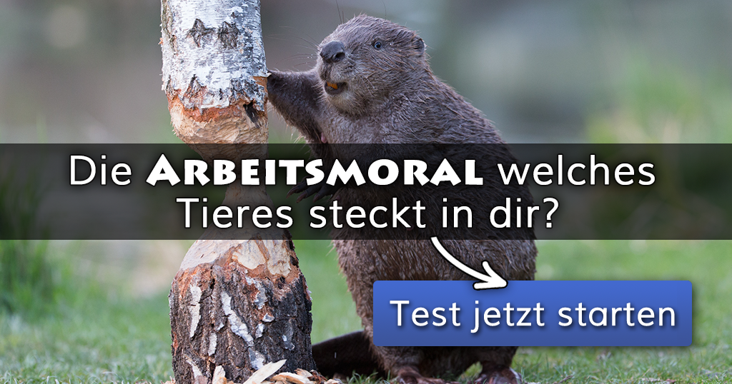 ᐅ Die Arbeitsmoral welches Tieres steckt in dir?
