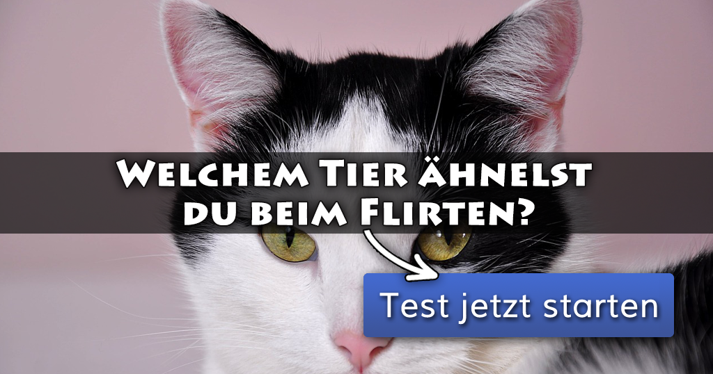 Anmachsprüche männer flirten