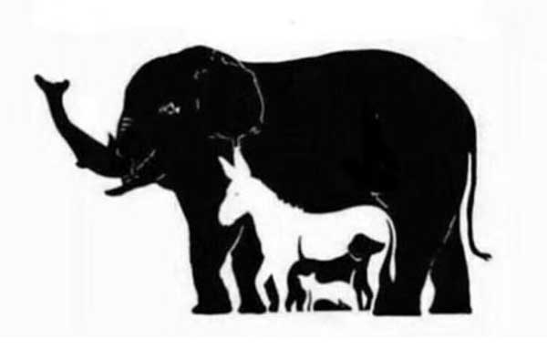 Wie viele Tiere siehst du?
