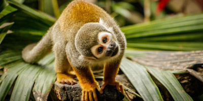 Zu viele falsche Antworten...