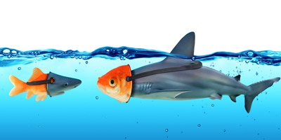 Zu viele falsche Antworten...