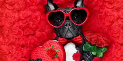 Was solltest du deinem Schatz zum Valentinstag schenken?