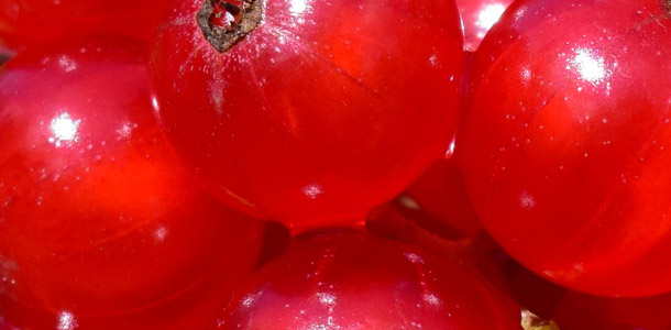 Welche Frucht ist das?
