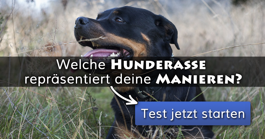 Amazon De Survivalkits Amazon De Survivalkits