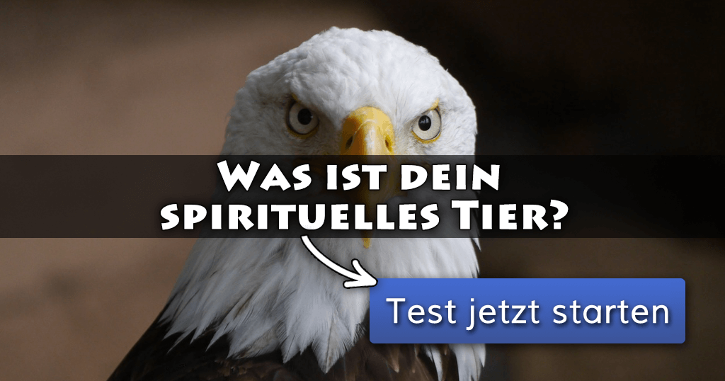 ᐅ Was ist dein spirituelles Tier?