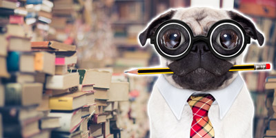 Zu viele falsche Antworten...