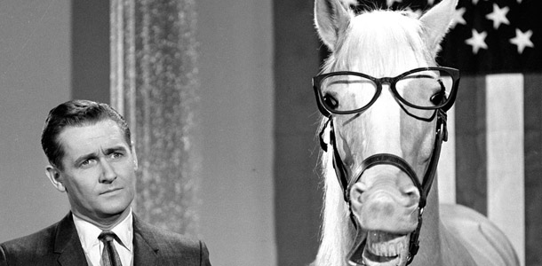 Wie hieß diese US-amerikanische Comedyserie von Walter R. Brooks um ein sprechendes Pferd?