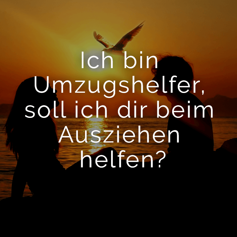 ᐅ Ich Bin Vom Tuv Darf Ich Mal Deine Hupen Testen
