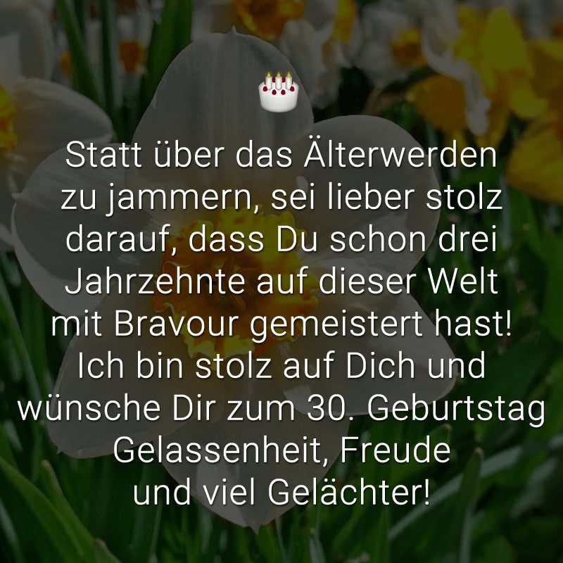 Statt über das Älterwerden zu jammern, sei lieber stolz darauf, dass Du schon drei Jahrzehnte auf dieser Welt mit Bravour gemeistert hast! Ich bin stolz auf Dich und wünsche Dir zum 30. Geburtstag Gelassenheit, Freude und viel Gelächter!