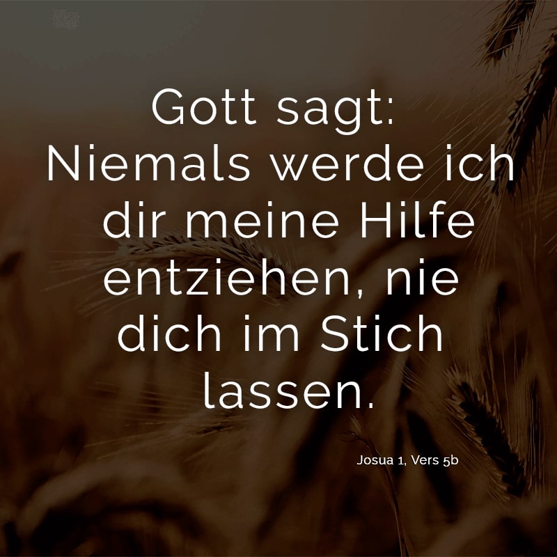 Gott sagt: Niemals werde ich dir meine Hilfe entziehen, nie dich im Stich lassen.
(Josua 1, Vers 5b)