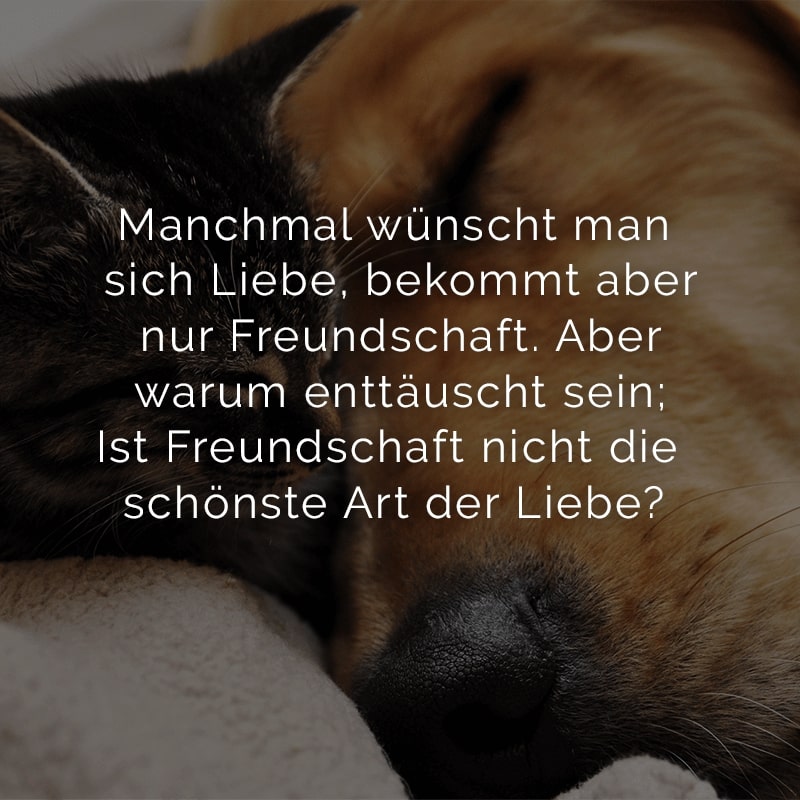 Manchmal wünscht man sich Liebe,
bekommt aber nur Freundschaft.
Aber warum enttäuscht sein;
Ist Freundschaft nicht die schönste Art der Liebe?
