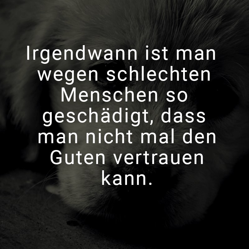 Irgendwann ist man wegen schlechten Menschen so geschädigt, dass man nicht mal den Guten vertrauen kann.