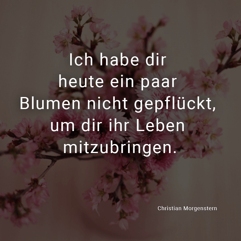 ᐅ Ich habe dir heute ein paar Blumen nicht gepflückt, um dir ihr Leben