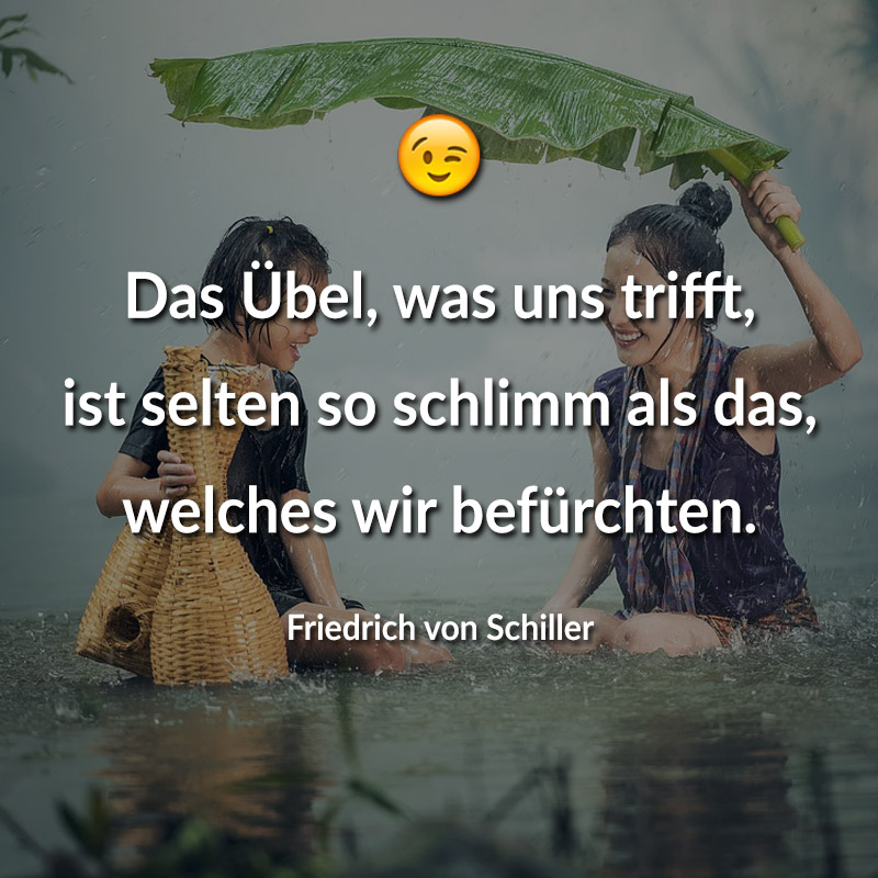 Das Übel, was uns trifft, ist selten so schlimm als das, welches wir befürchten. (Friedrich von Schiller)