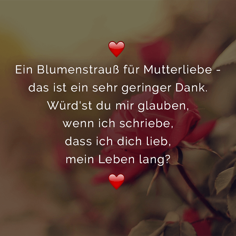 ᐅ Ein Blumenstrauß für Mutterliebe das ist ein sehr geringer Dank