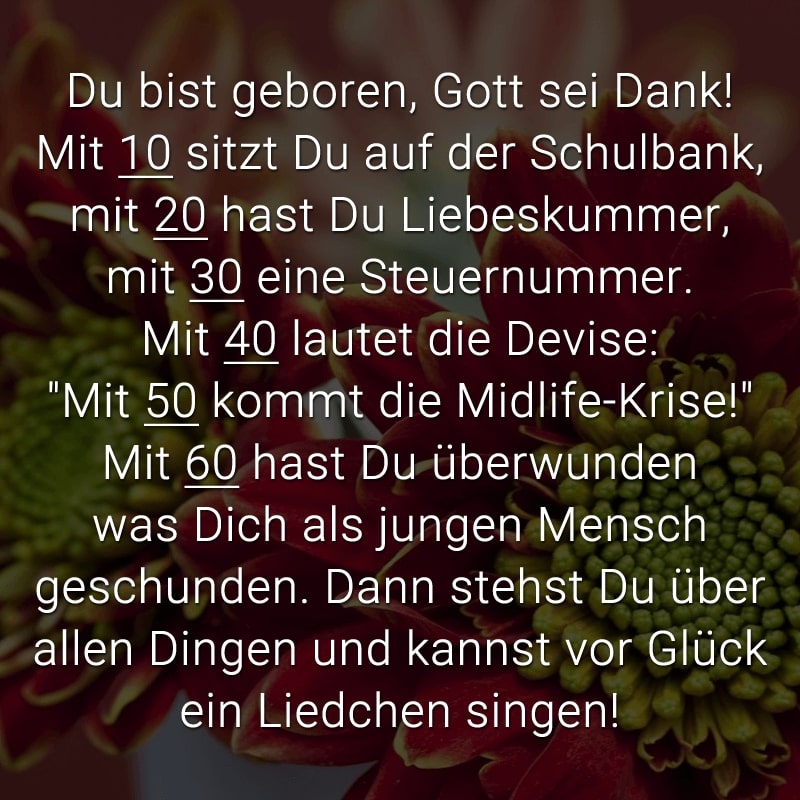 Geburtstag 30 lustige sprüche zum Lustige Geburtstagssprüche