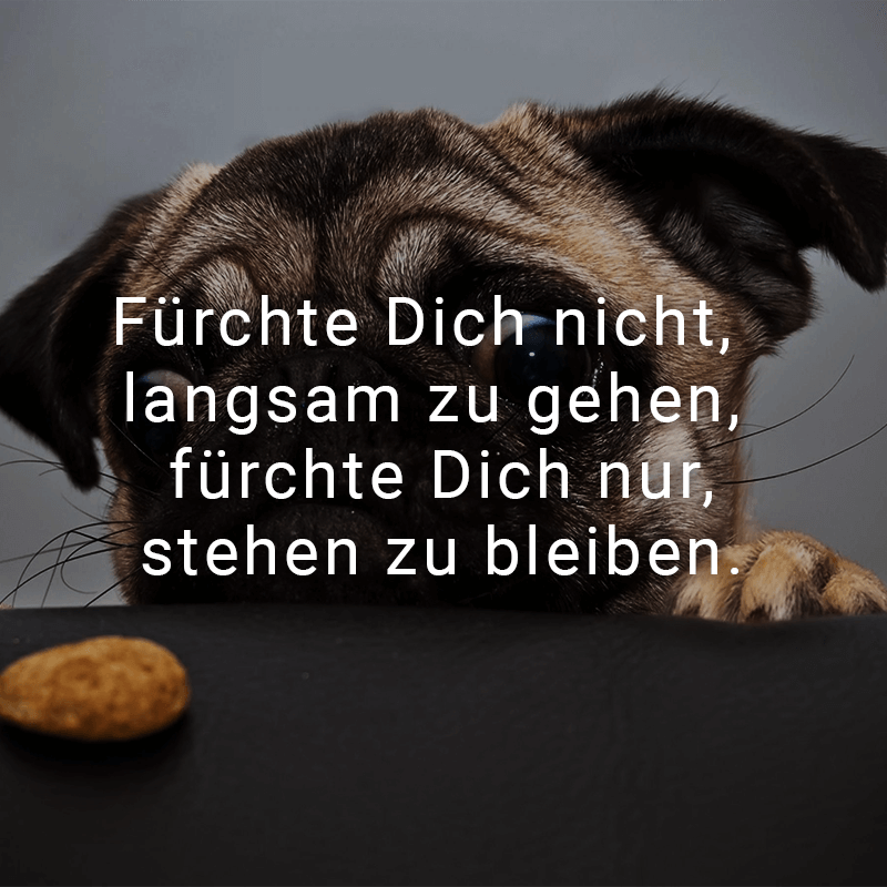 Zier dich nicht so