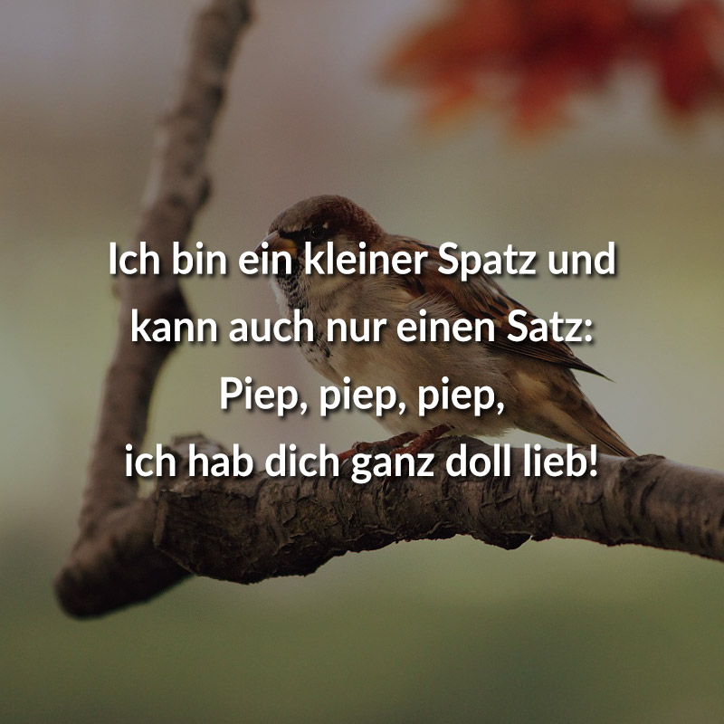 ᐅ In Meinem Leben Habe Ich Zwar Alles Aber Ohne Dich Ist Alles
