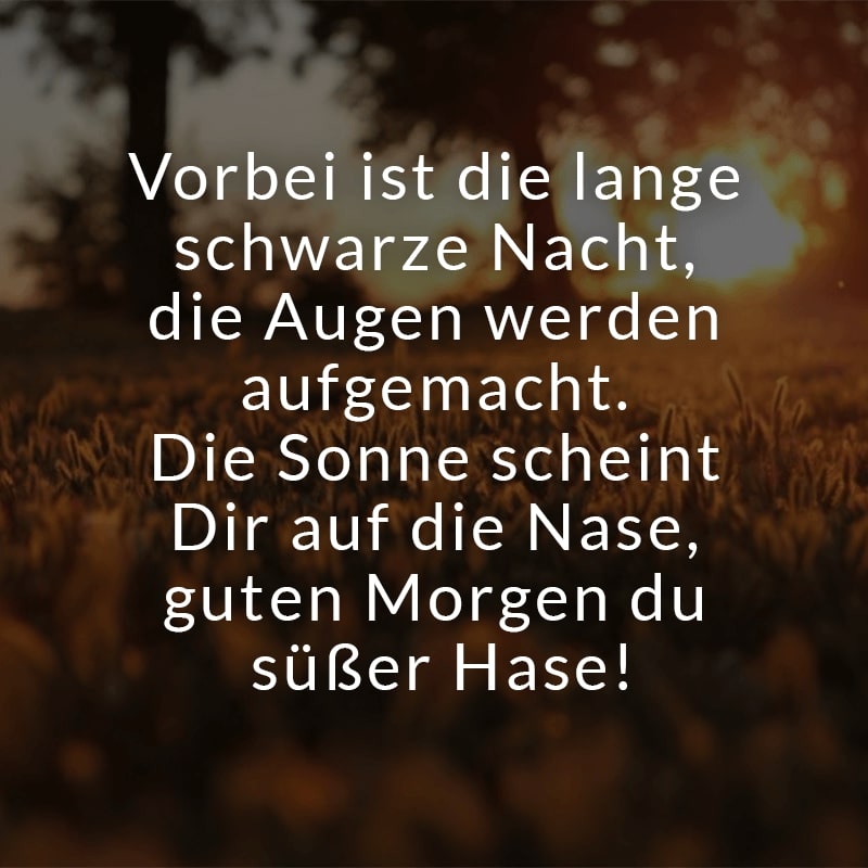 Morgen engel guten gedicht mein Gedicht