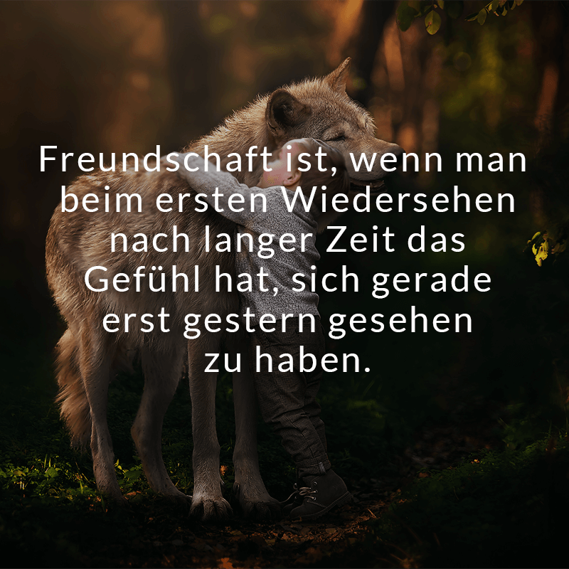 Freundschaft Was Zeichnet Wahre Freunde Aus Karrierebibelde Manchmal Muß Man Freunde Besuchen Um Seine Bücher