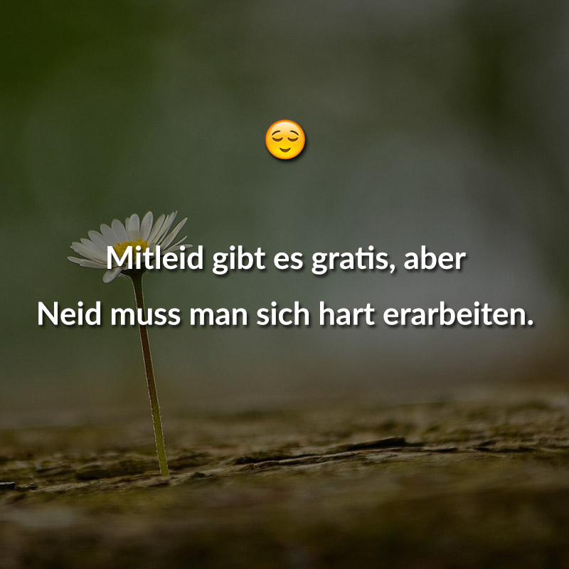 Neid Sprüche Lustig Lustige Sprüche