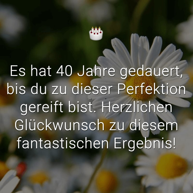 Es hat 40 Jahre gedauert, bis du zu dieser Perfektion gereift bist. Herzlichen Glückwunsch zu diesem fantastischen Ergebnis!