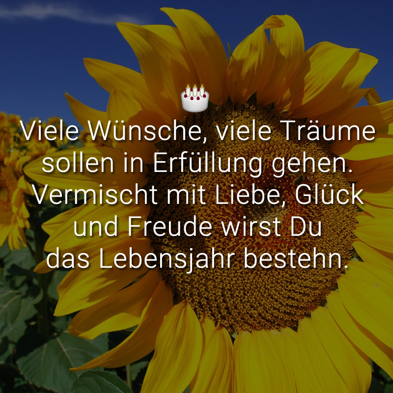 ᐅ Beliebte Geburtstagssprüche lustig & kreativ