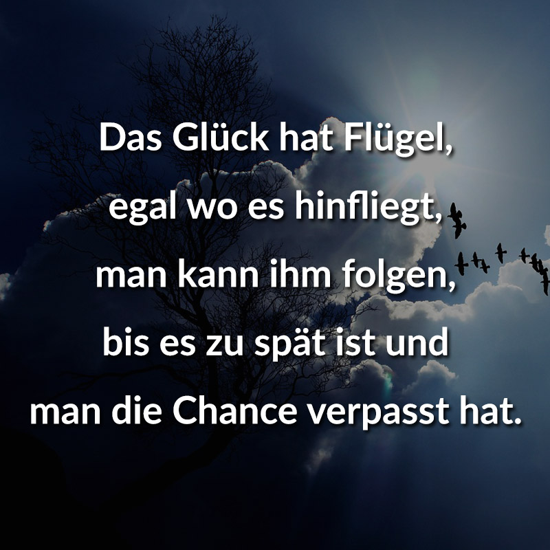 Das Glück hat Flügel, egal wo es hinfliegt, man kann ihm folgen, bis es zu spät ist und man die Chance verpasst hat.