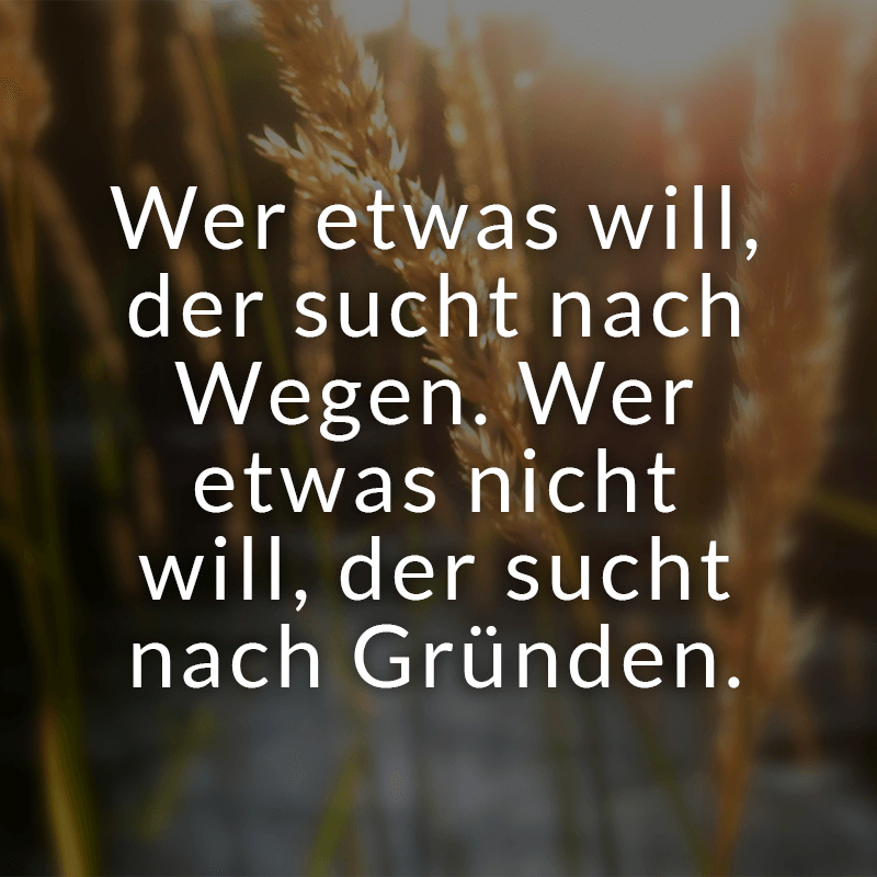 ᐅ Beliebte schöne Sprüche