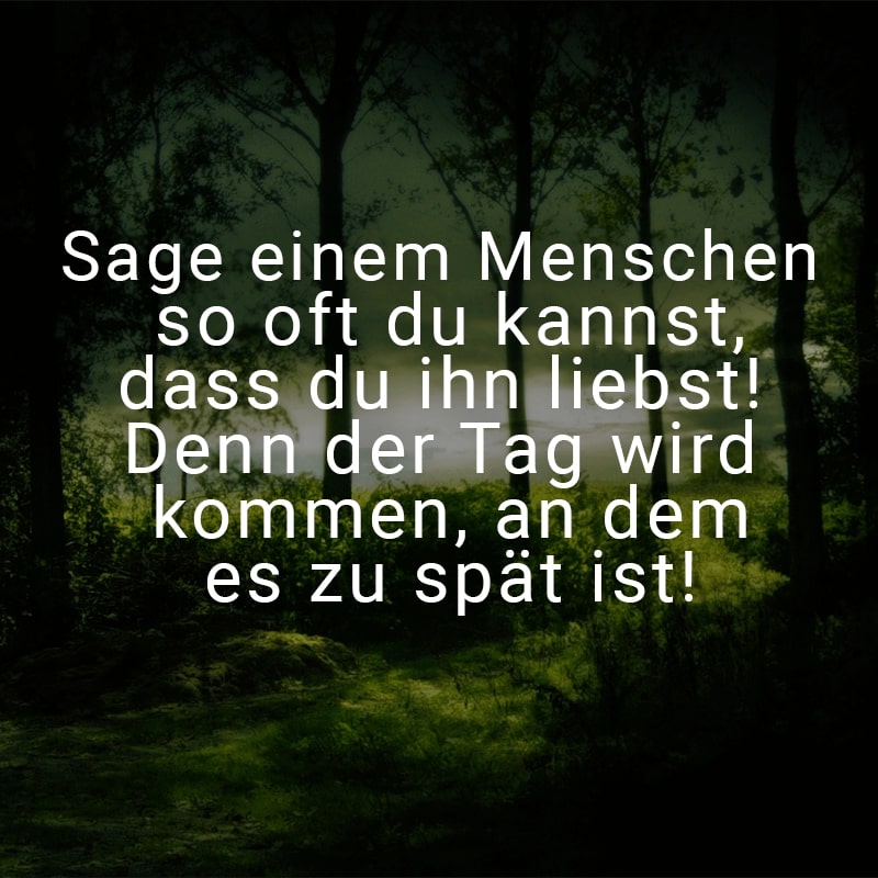 Sage einem Menschen so oft du kannst, dass du ihn liebst! Denn der Tag wird kommen, an dem es zu spät ist!