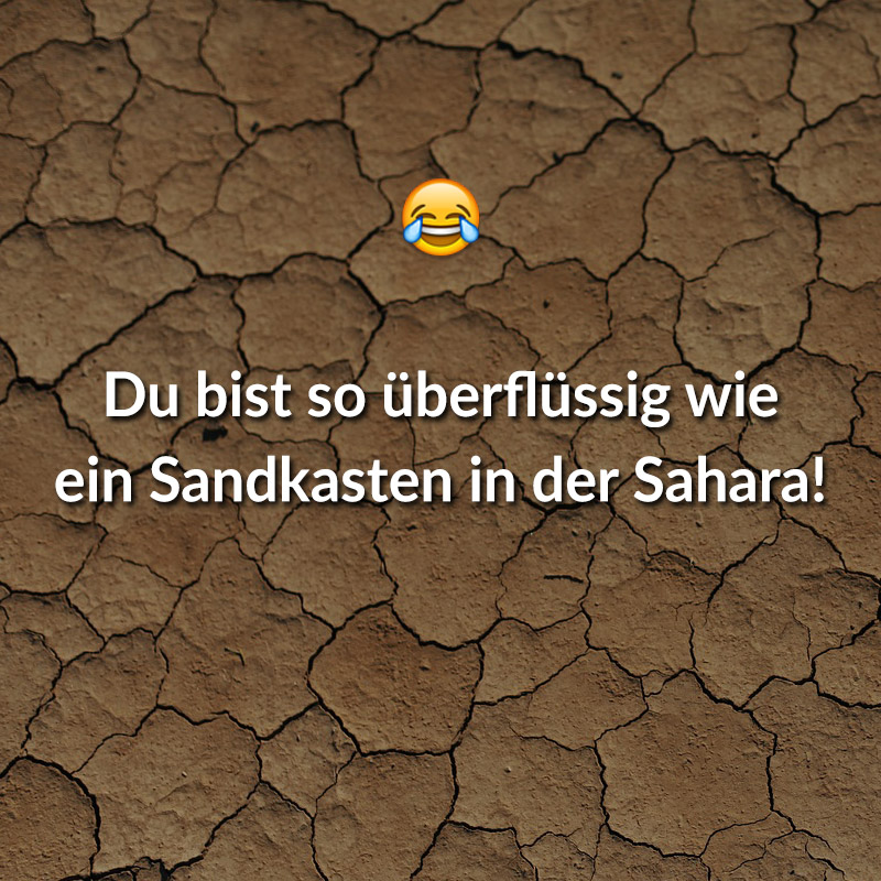 Du bist so überflüssig wie ein Sandkasten in der Sahara!