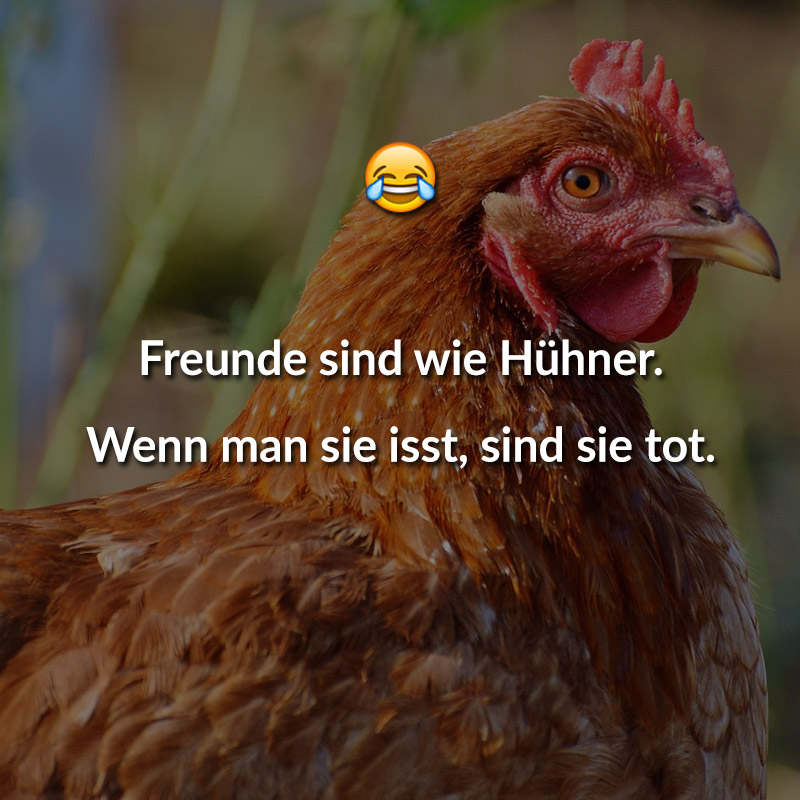 Freunde sind wie Hühner. Wenn man sie isst, sind sie tot.