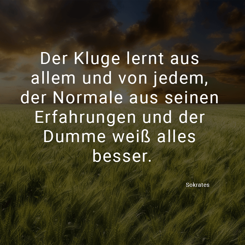 ᐅ Beliebte Zitate Als Spruchbilder