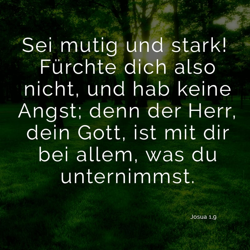 Sei mutig und stark! Fürchte dich also nicht, und hab keine Angst; denn der Herr, dein Gott, ist mit dir bei allem, was du unternimmst.
(Josua 1,9)